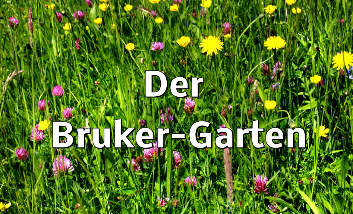 Bruker Garten Gesellschaft Fur Gesundheitsberatung Ggb E V