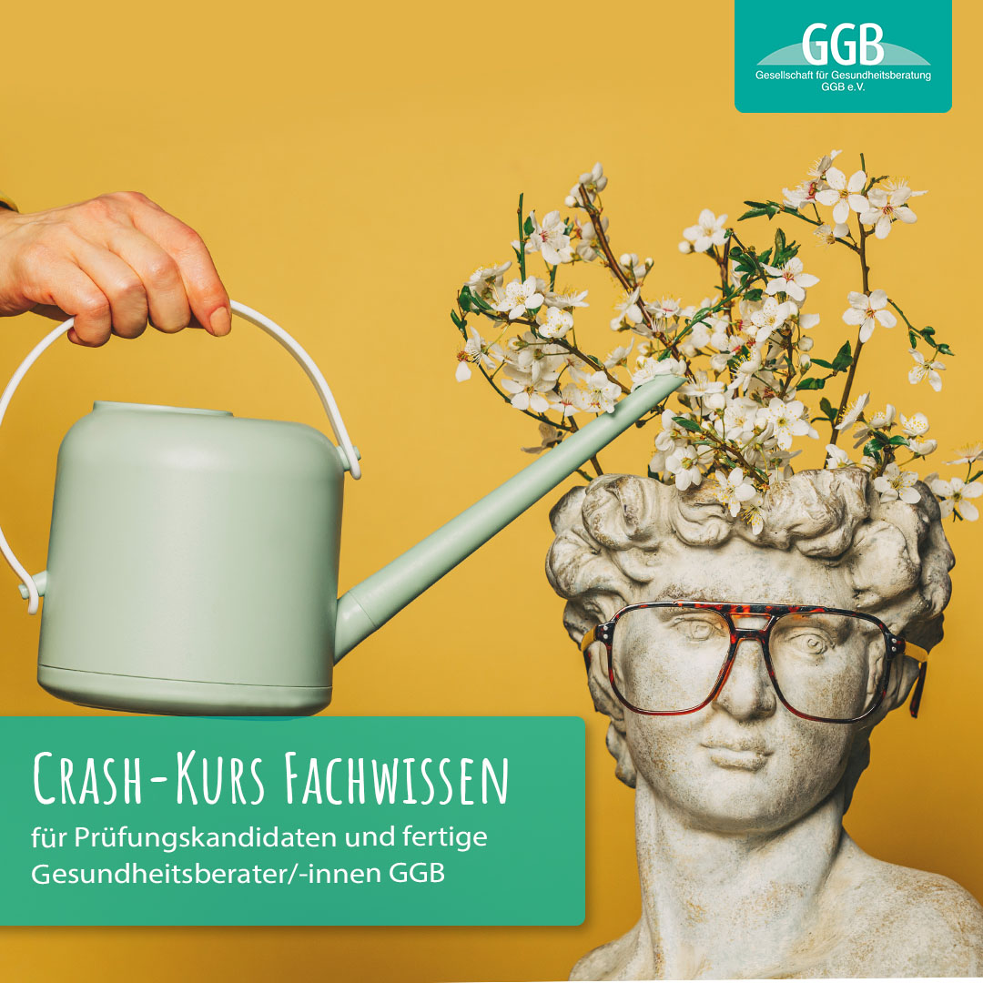 Crash-Kurs Fachwissen 2026