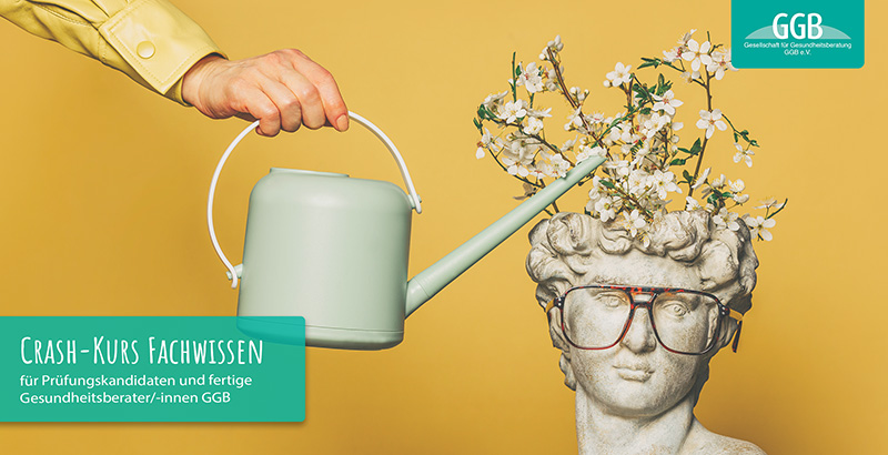 Crash-Kurs Fachwissen