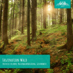 Faszination Wald: Zeitreise erleben, Naturwaldforschung, Gesundheit.