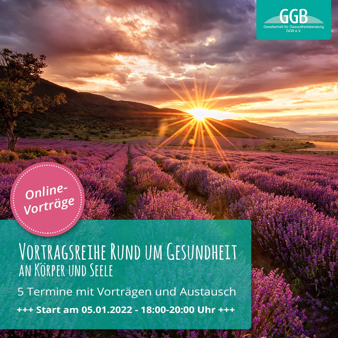 Online-Vortragsreihe: "Freude"